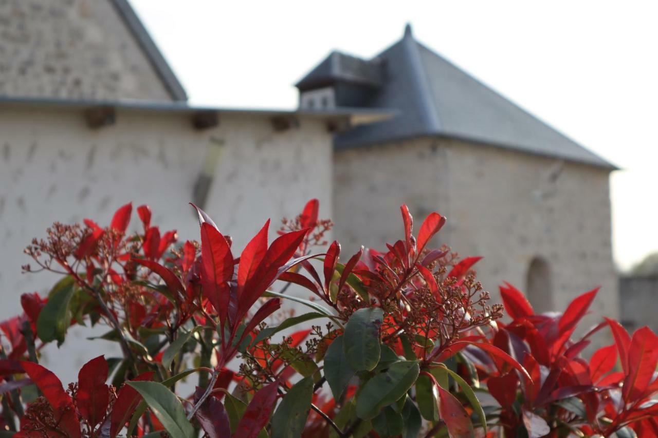 Gites De Saint Remy Villers-Cotterêts Eksteriør billede